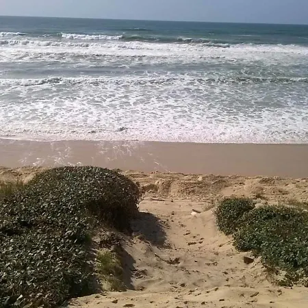 Maison Arcachonnaise A Pour 6 Pers. - Fr-1-521-87 Biscarrosse-Plage